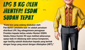 Screenshot_20250210-092028_1